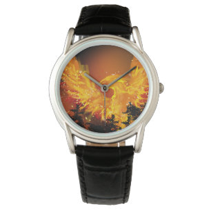 Phoenix in Flight Watch