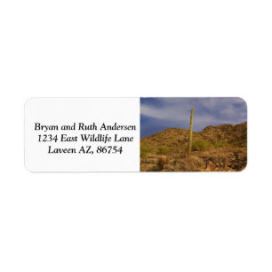 Phoenix Mountain preserve landscape