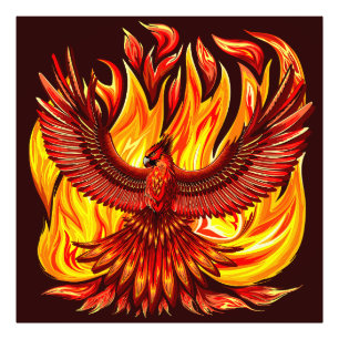 Phoenix mythological immortal Creature Photo Print