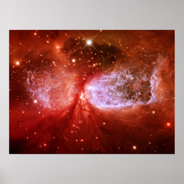 Phoenix Poster (Front)