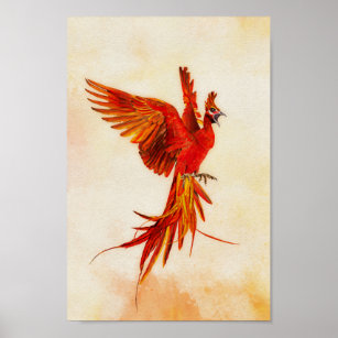 Phoenix Rising - #2 Poster