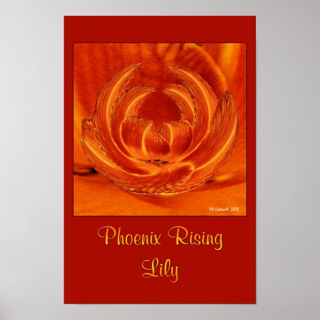 Phoenix Rising Lily Poster (Front)