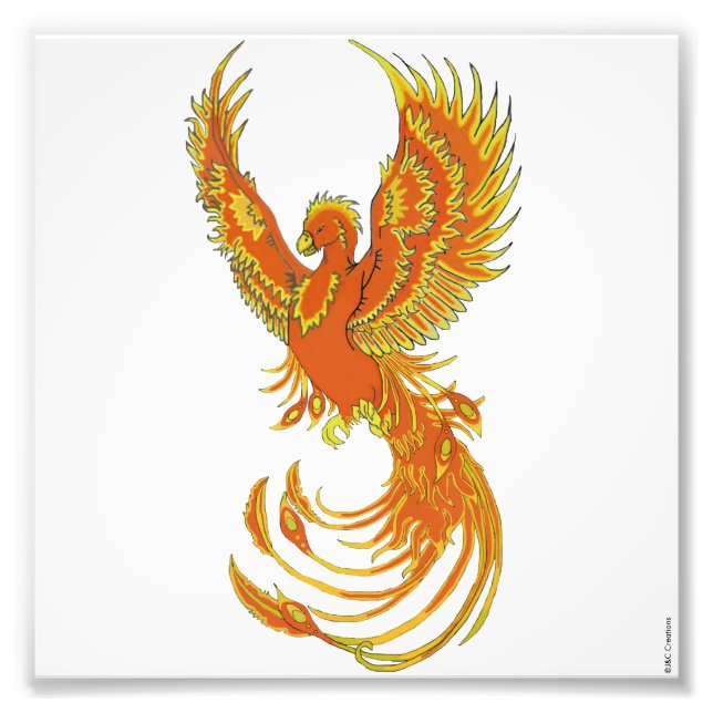 Phoenix Rising Photo Print (Front)