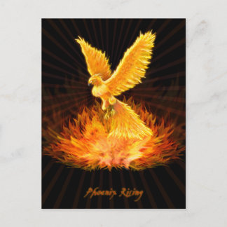 Phoenix Rising Postcard