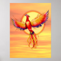 Phoenix Rising