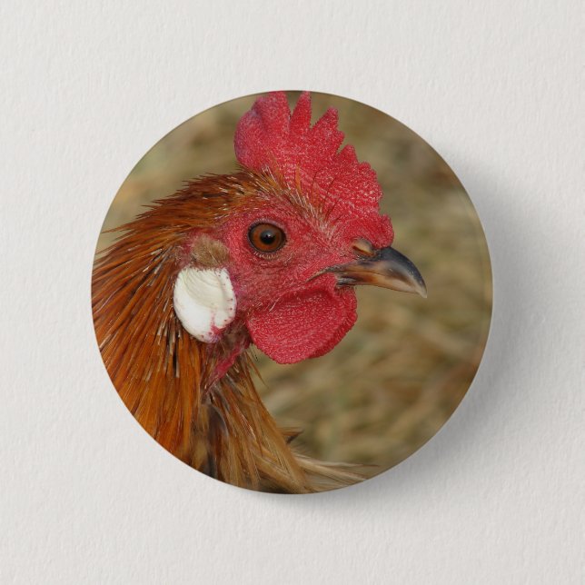 Phoenix Rooster 6 Cm Round Badge (Front)