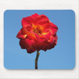 Phoenix Rose in the Sky-mousepad Mouse Pad