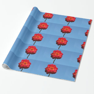 Phoenix Rose in the Sky-wrapping paper