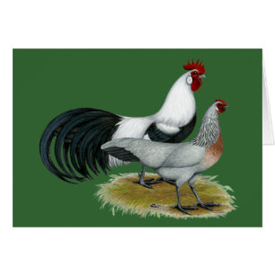 Phoenix:  Silver Duckwing Pair