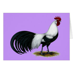 Phoenix: Silver Duckwing Rooster