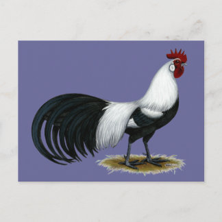 Phoenix: Silver Duckwing Rooster Postcard