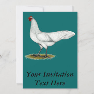 Phoenix: White Hen Invitation