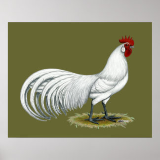 Phoenix: White Rooster Poster