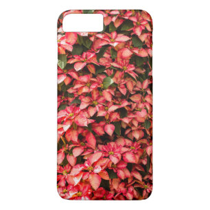 Phone cases Red Poinsettia