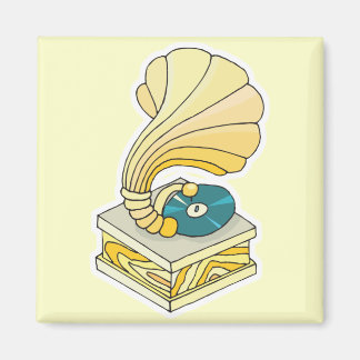 phonograph record player magnet