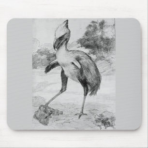 Phororhacos Terrorbird Mousemat
