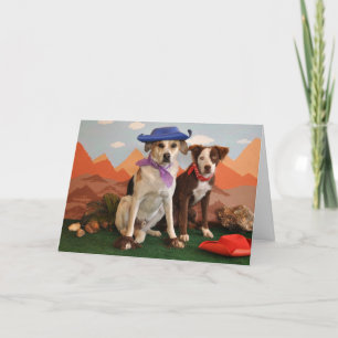 Photo, 2 western dogs card