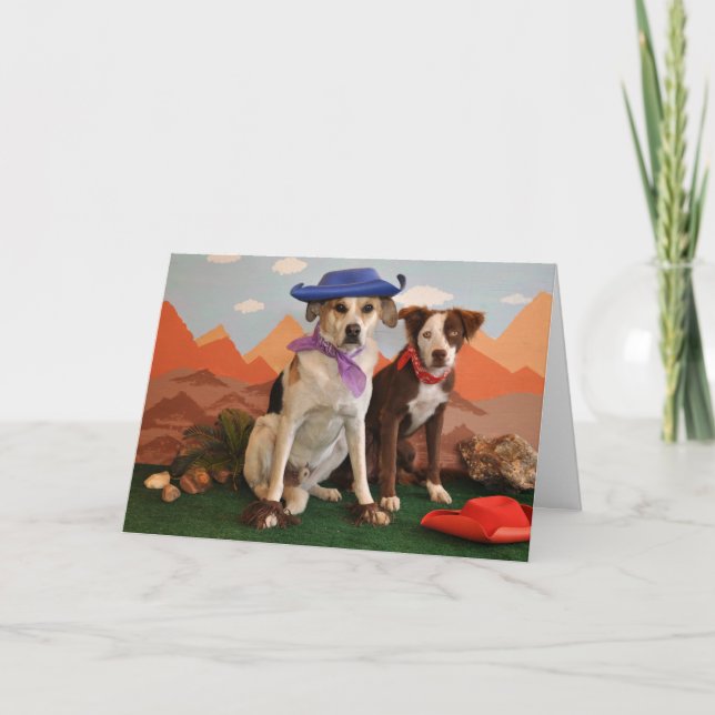 Photo, 2 western dogs card (Front)