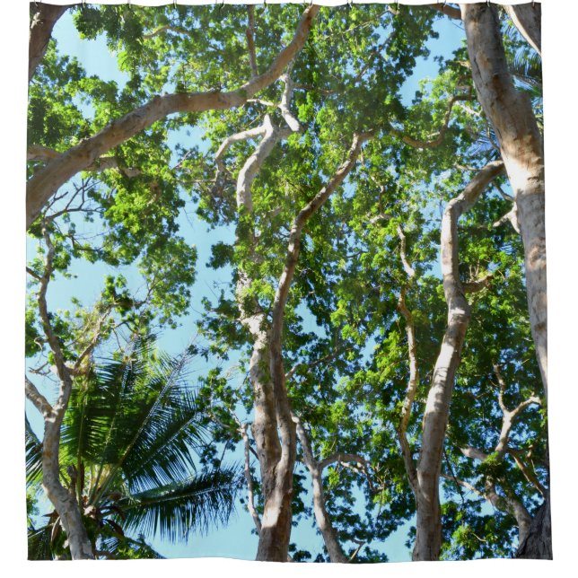 Photo 45 trees shower curtain (Front)