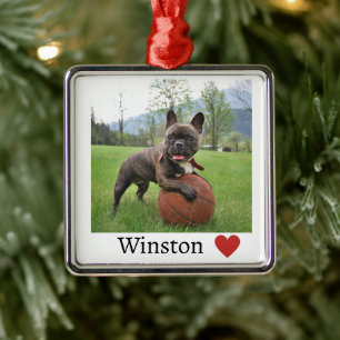 Photo and Name French Bulldog Dog Metal Tree Decoration
