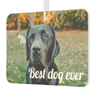 Photo and Text Custom Personalised Car Air Freshener