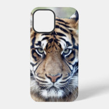 Photo , animals , tiger , tigre . Case-Mate iPhon