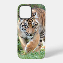 Photo , animals , tiger , tigre . Case-Mate iPhon