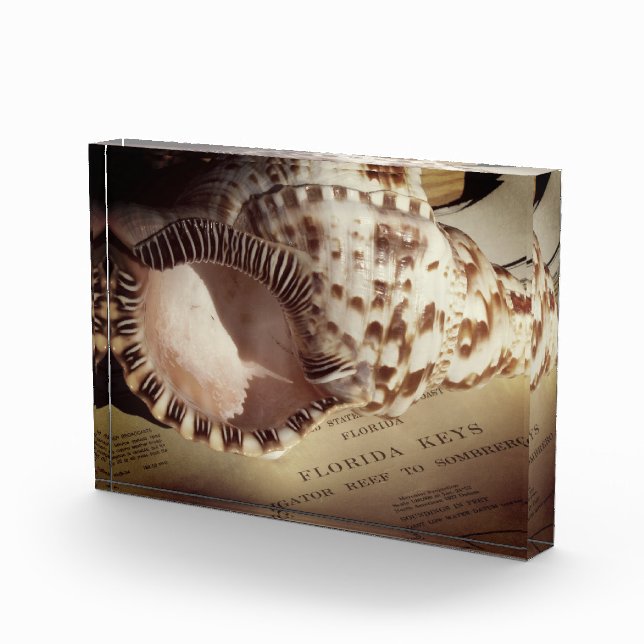 Photo Block- Florida Keys Shell Chart Block (Right)
