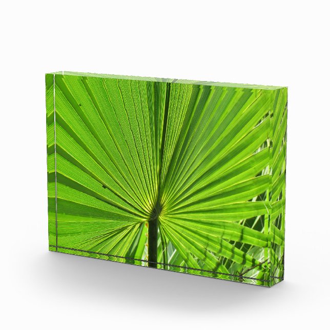Photo Block - Palm Frond (Right)