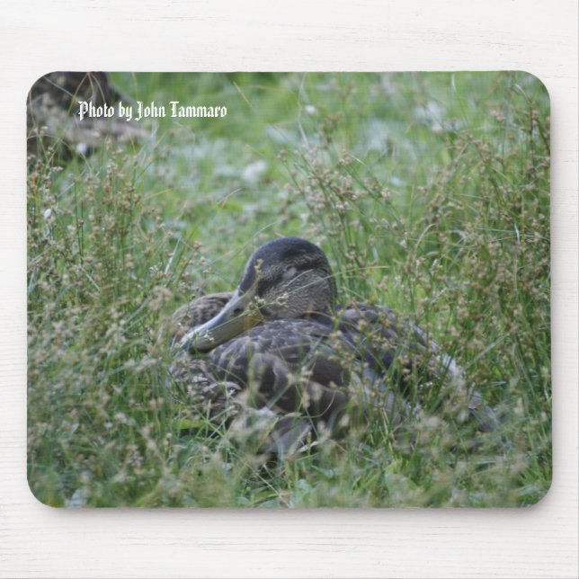 Photo by John Tammaro Mouse Pad (Front)