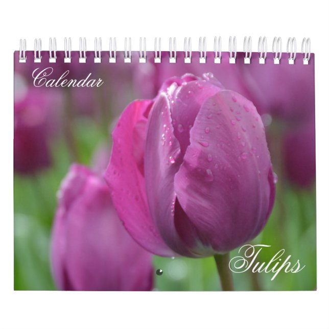 Photo Calendar Tulips (Cover)