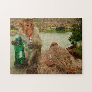 Photo Call-Monkey Badami India Jigsaw Puzzle