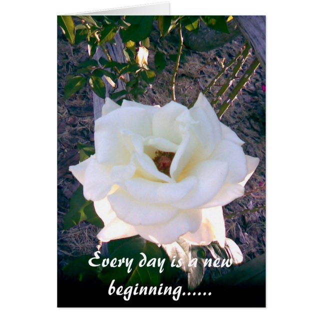 Photo Card 1 (Front)