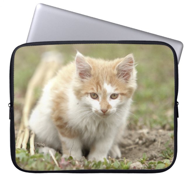 Photo cat , animals laptop cases .  (Front)