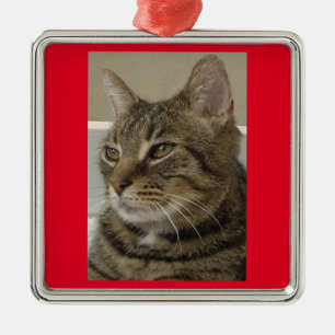 Photo Cat Metal Tree Decoration