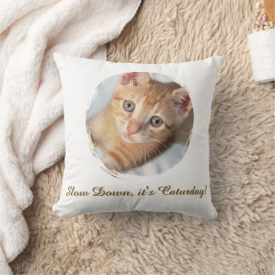 Photo Cat Text, Replaceable, Funny Caturday Cushion