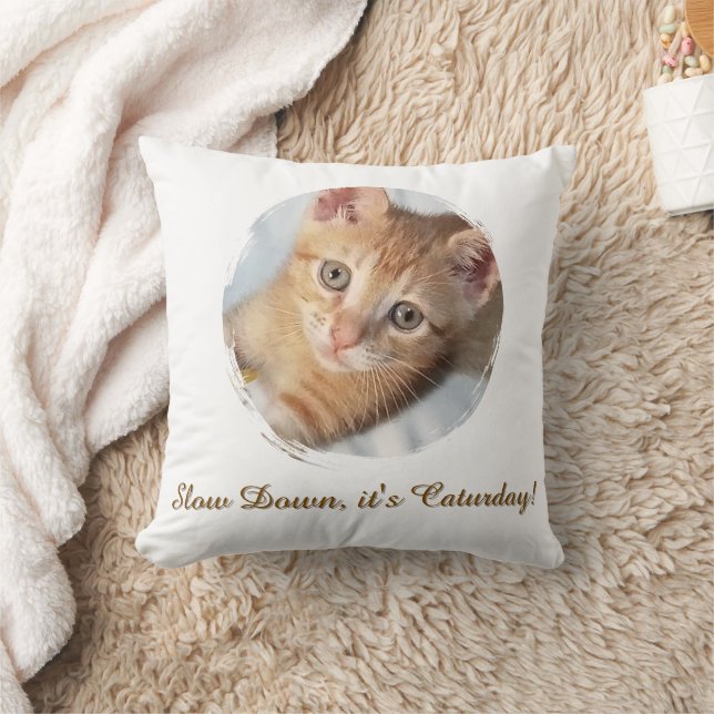 Photo Cat  Text, Replaceable, Funny Caturday  Cushion (Blanket)