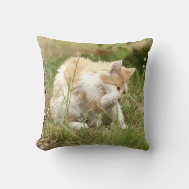 Photo chat , cat , animals . throw pillow (Front)