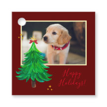 PHOTO christmas dog pet custom 