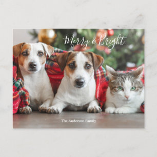 Photo Christmas  Holiday Postcard
