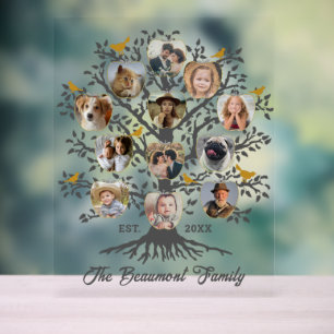 Photo Collage 12 Family Tree Custom Name and Date Acrylic Sign