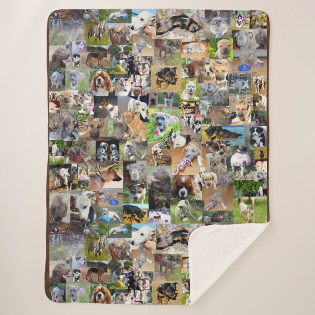 Photo Collage Of Dogs, Sherpa Blanket (Front)