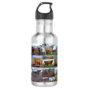 Photo Collage Of Highland Cows, Water Bottle