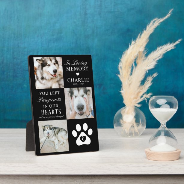 Pet Loss Gifts on Zazzle NZ