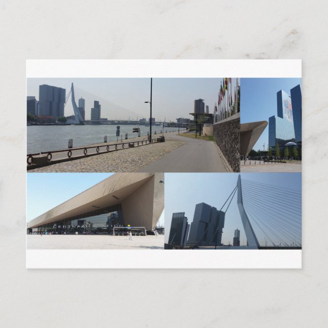 Photo collage Rotterdam 4 Postcard (Front)