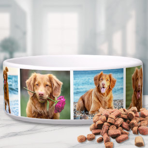 Photo Collage Simple Elegant Picture Pet Bowl