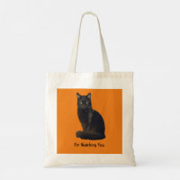 Photo Cutout Black Cat Staring Watching You Orange