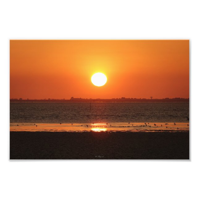 Photo enlargement (Front)