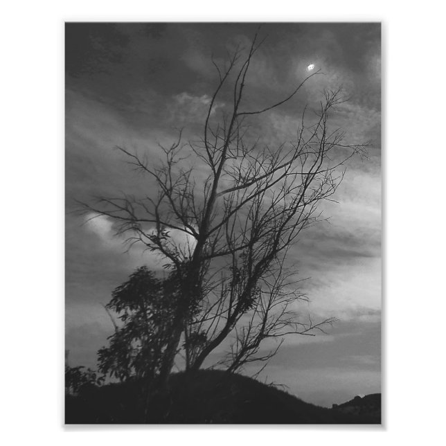 Photo Enlargement (Front)