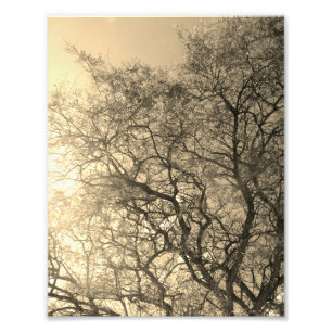 Photo Enlargement Print